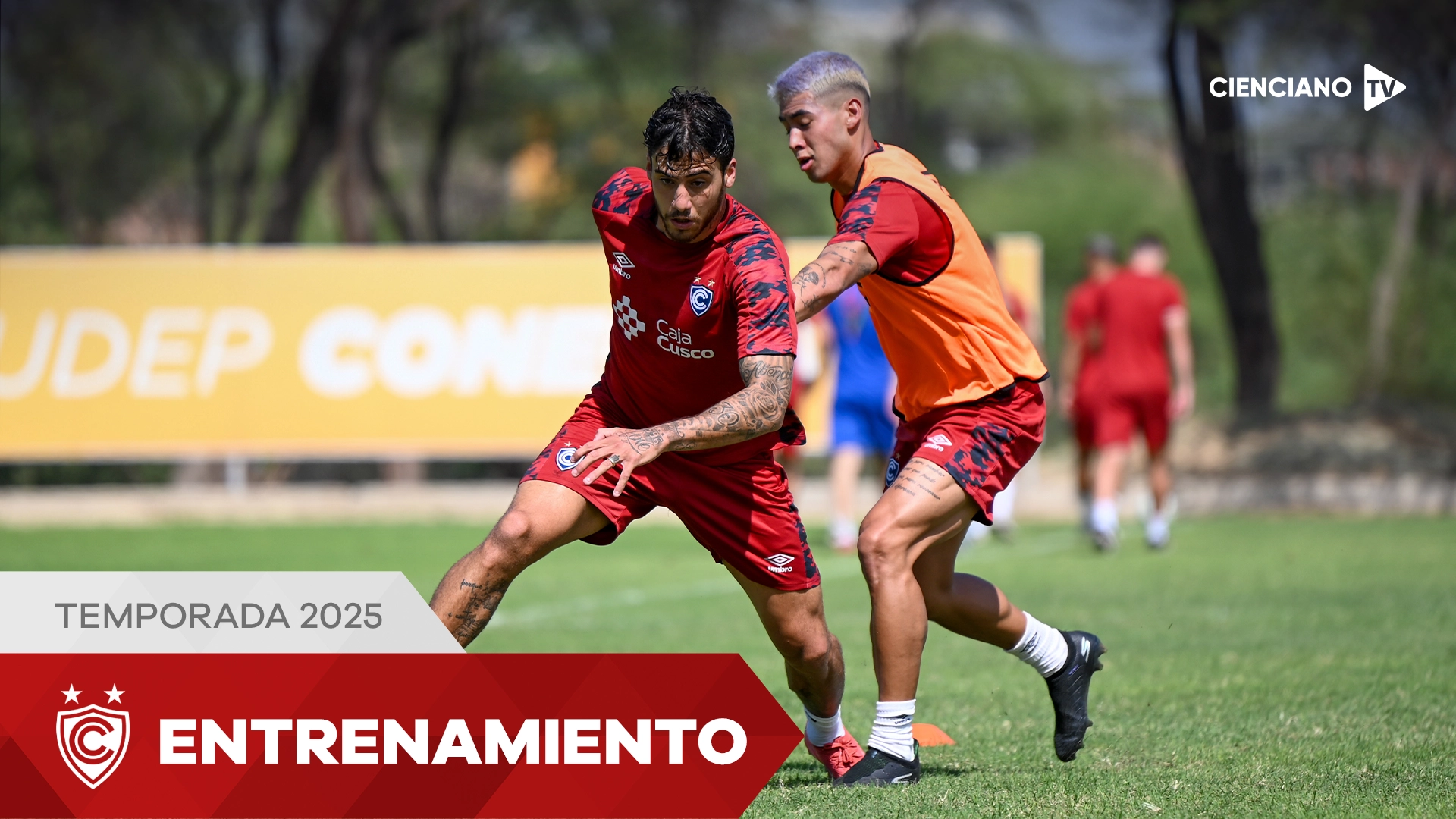 Entrenamiento