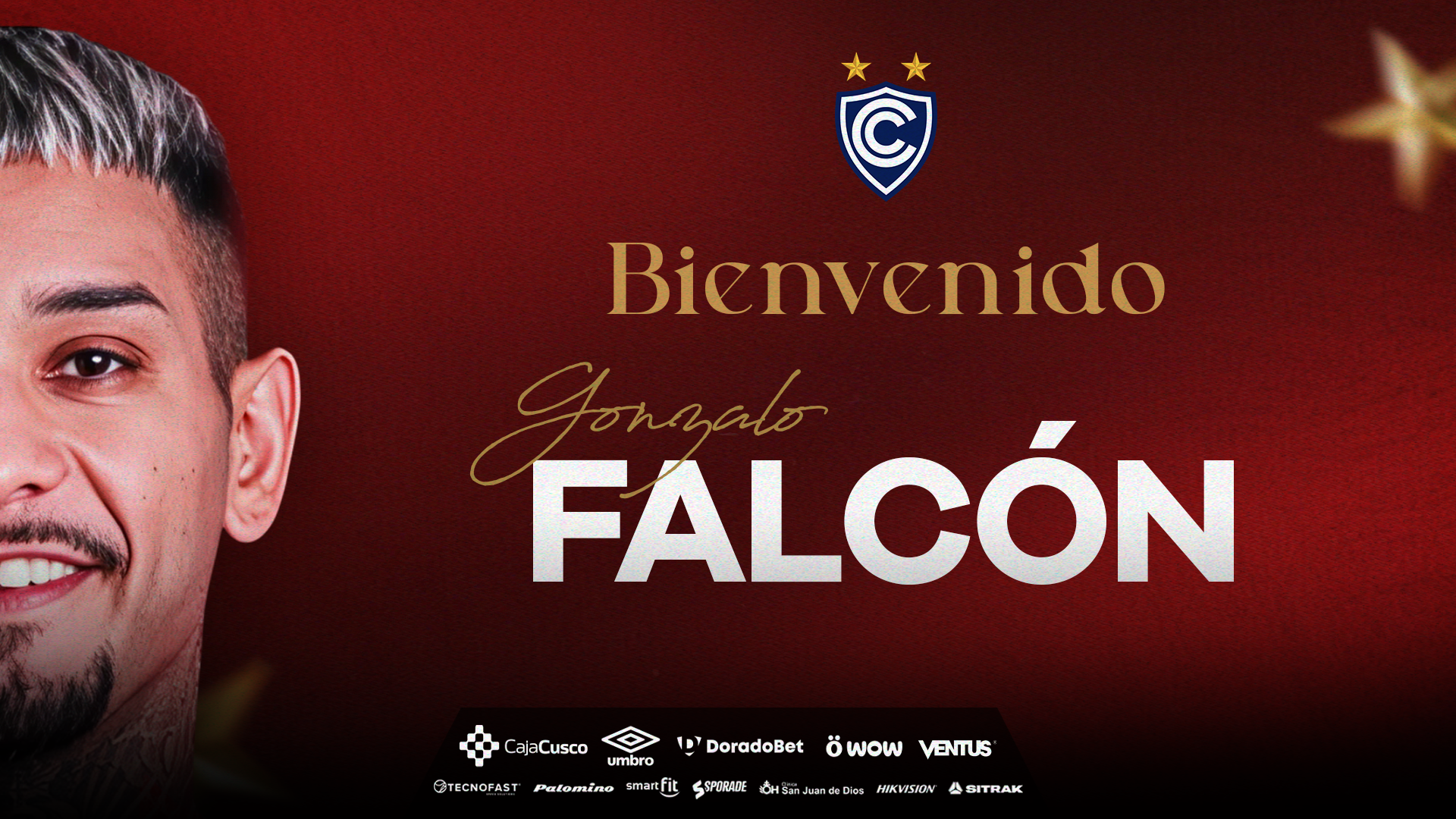 FORMATO_WEB_DISEÑO_FALCON